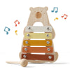Baby Wooden Montessori Musical Instruments Set